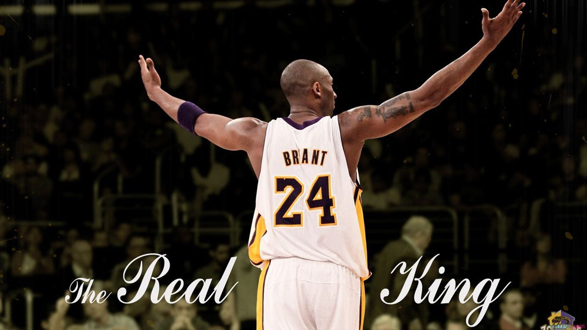 开云·体育官网-快速反击：北京利用速度优势多次成功反击得分！，快速反击战术